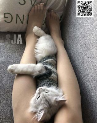 94影院_BD动漫免费观看