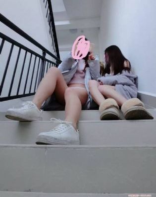 明月守护者_BD国语免费全集观看