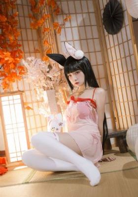 李小环与苗翠花 电视剧_HD日韩免费观看