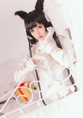 夏威夷特勤组_高清高清在线