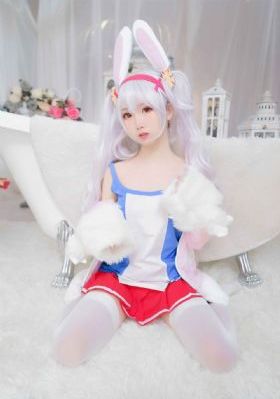 黑狐之风影电视剧_蓝光高清完整版